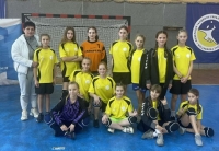 Чемпіонат Київської області з гандболу