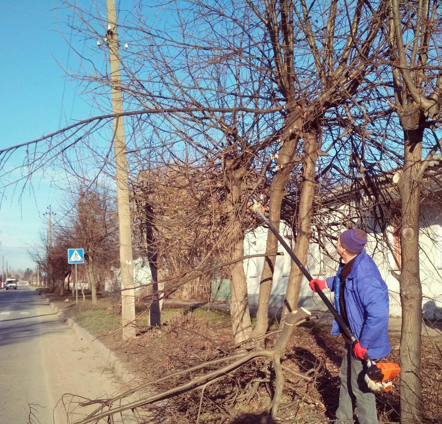 Обрізка дерев по вулиці  Максима Рильського та відновлення зовнішнього освітлення по частині вулиці Незалежності