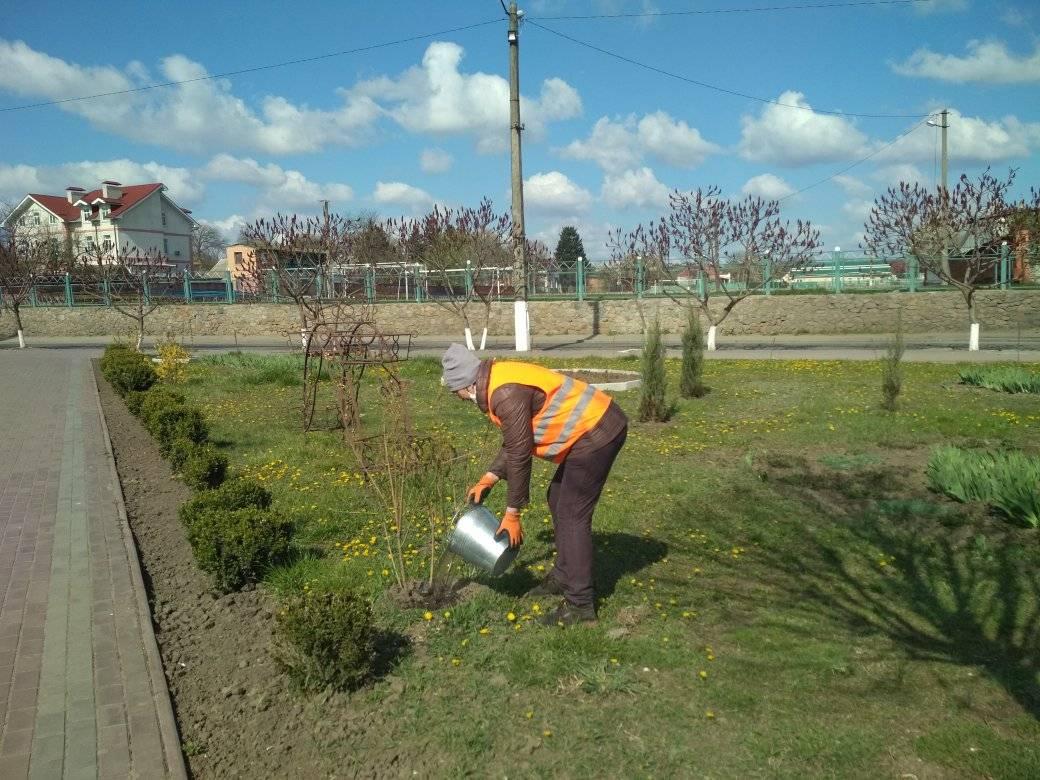 Роботи, які виконало КП «Сквираблагоустрій» із 21 по 24 квітня 2020 року