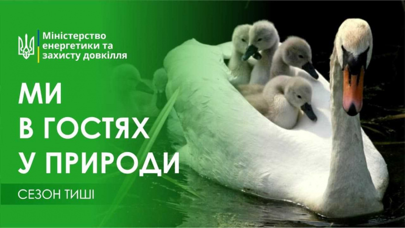 1 квітня у лісах розпочався «сезон тиші» з метою збереження популяції диких тварин