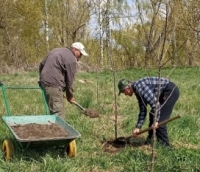 Сквирська міська рада долучилася до Всеукраїнської ініціативи, спрямованої на ефективне використання кожного клаптику землі для вирощування продовольства - Сади Перемоги.